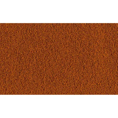 Goldfish Mini Pellets 42 g -100 ml Aliment complet pour les jeunes poissons