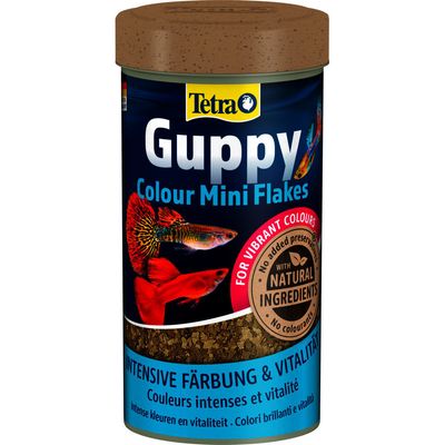 Mini flocons pour guppys et poissons vivipares avec activateurs de couleur