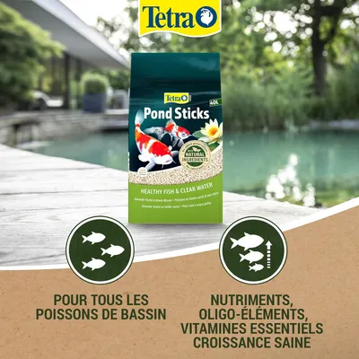 pond sticks 40 Litres pour poissons de bassin 4.2 kg