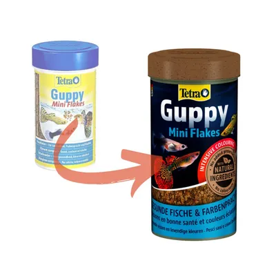 Guppy mini flocons 30g - 100 ml Aliment pour les Guppies, platys, mollys, p