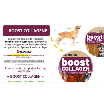 Flamingo - Friandises Boost Saucisse avec insectes & Collagène 600 g pour c