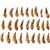 Flamingo - Snack nature Ailes de poulet 100 g pour chien