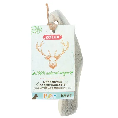 zolux - Bois de Cerf biseauté XXS Friandise à mâcher pour chiot
