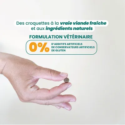 Dog Chef Croquettes Naturelles au Poulet Frais pour chien