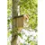 animallparadise - Nichoir pour les oiseaux nichant dans les cavités. Dimens