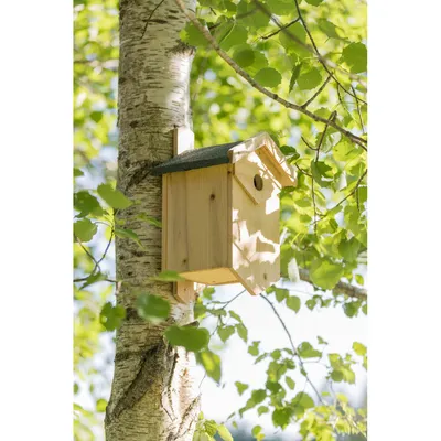 Nichoir oiseaux en bois, nichant dans les cavités, grande ouverture