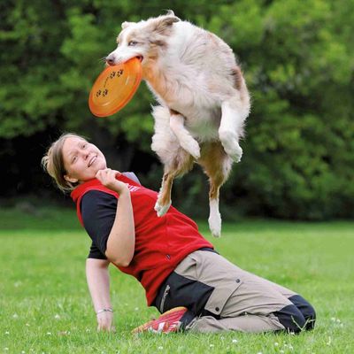 Disque d'activité "Dog Disc " ø 19 cm