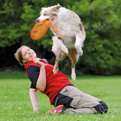 Disque d'activité "Dog Disc " ø 19 cm
