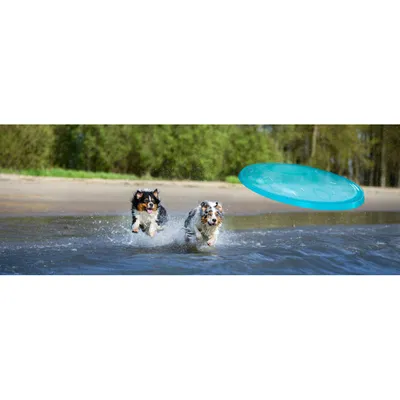 Disque volant pop ø 23 cm jeux pour chiens ,turquoise.