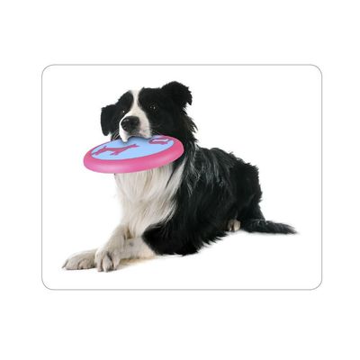 Disque Volant AMELIA ø 22 cm jouet pour chien
