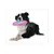 Flamingo - Disque Volant AMELIA ø 22 cm jouet pour chien