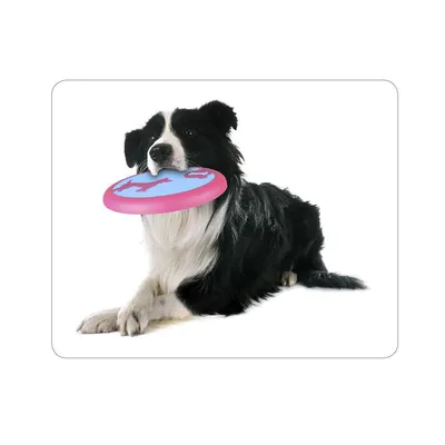 Flamingo - Disque Volant AMELIA ø 22 cm jouet pour chien