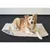 Couverture Zupo grise 100 x 70 cm pour chien
