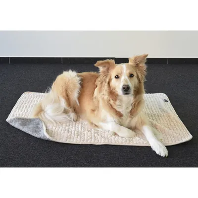 Couverture Zupo grise 100 x 70 cm pour chien
