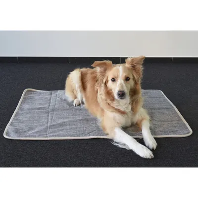 Couverture Zupo grise 100 x 70 cm pour chien