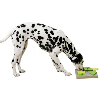 Kerbl Jouet de réflexion et d'apprentissage de chiens Cake 30x23x4,5cm
