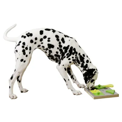 Kerbl Jouet de réflexion et d'apprentissage de chiens Cake 30x23x4,5cm