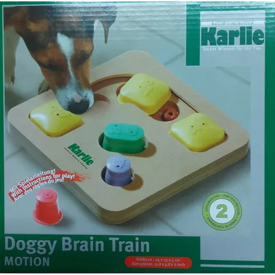 Karlie - jeu de stratégie cache friandise DOGGY Brain train motion 25 x  25