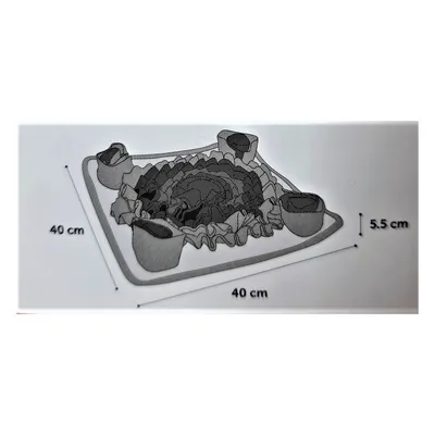 Flamingo - jouet Couverture a renifler Joya S 40 x 40 x 5.5 cm pour chien