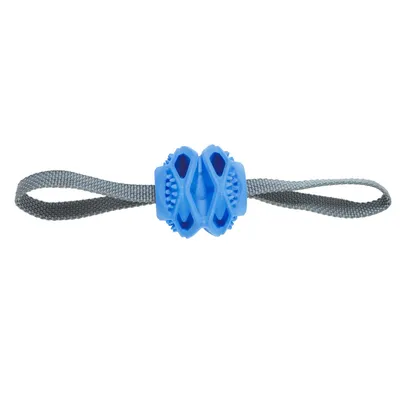 Jouet Balle TPR cache friandises Bleu ø 7.8 x 31.5 cm pour chien