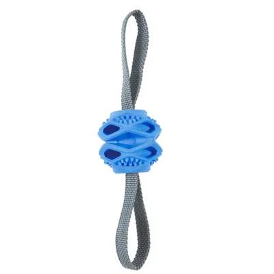 Jouet Balle TPR cache friandises Bleu ø 7.8 x 31.5 cm pour chien