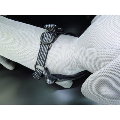 Harnais Jannu XL 60-90 cm 25 mm  pour chien