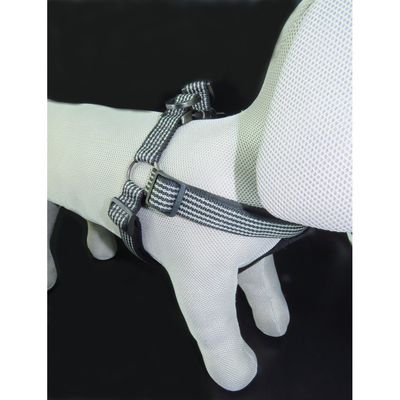 Harnais Jannu XL 60-90 cm 25 mm  pour chien