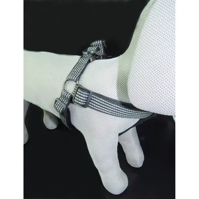 Flamingo - Harnais Jannu XL 60-90 cm 25 mm  pour chien