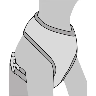 Flamingo - Harnais Small dog M, cou 35 cm corp réglable de 37 à 50 cm vert