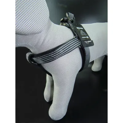 Flamingo - Harnais Jannu  taille M 35-60 cm 20 mm  pour chien