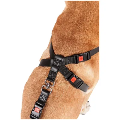 FLAMINGO Harnais auto de sécurité Taille S 35-50 cm  1032109