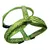 animallparadise - Harnais S PUPPY PIXIE vert 13 mm. 27 à 42 cm pour chiots