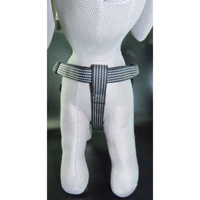 Harnais Jannu L 40-70 cm 25 mm  pour chien