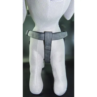 Flamingo - Harnais Jannu L 40-70 cm 25 mm  pour chien