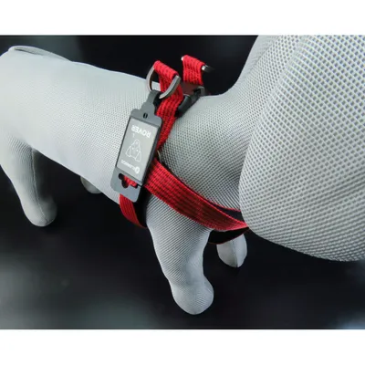 Flamingo - Harnais Jannu  L 40-70 cm 25 mm   pour chien