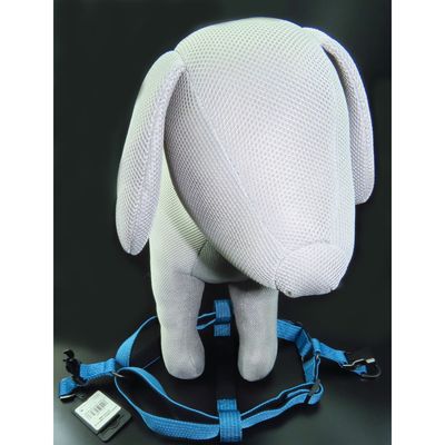 Harnais Jannu S 25-45 cm 15 mm   pour chien