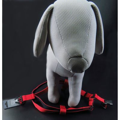 Harnais Jannu S 25-45 cm 15 mm   pour chien