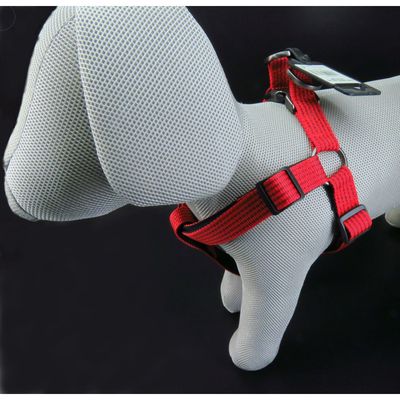 Harnais Jannu S 25-45 cm 15 mm   pour chien