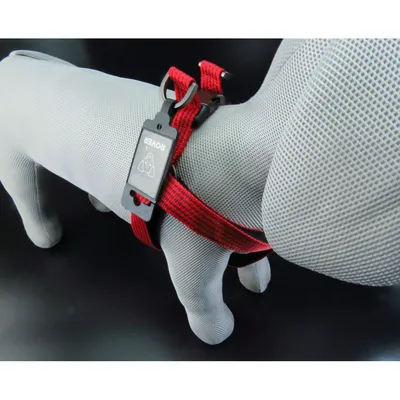 animallparadise - Harnais Jannu S 25-45 cm 15 mm   pour chien