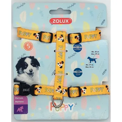 zolux - Harnais S PUPPY MASCOTTE 13 mm 27 à 42 cm couleur jaune pour chiots