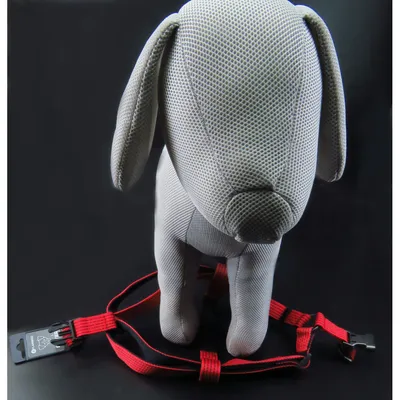 Harnais Jannu XS 20-35 cm 15 mm   pour chien