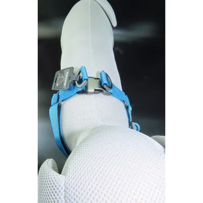 Flamingo - Harnais Jannu  taille XL 60-90 cm 25 mm pour chien