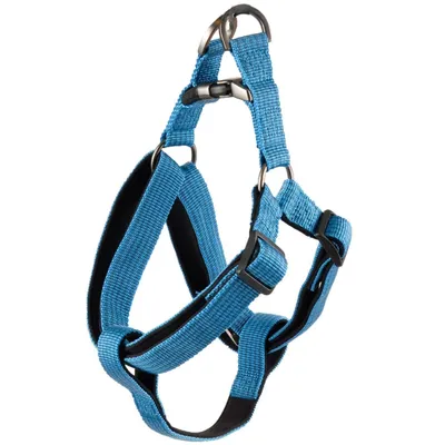 Flamingo - Harnais Jannu  taille XL 60-90 cm 25 mm pour chien