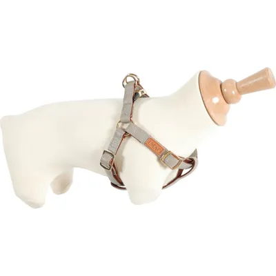 Harnais IMAO MAYFAIR 25 mm tour de poitrail de 70 à 100 cm taupe pour chien