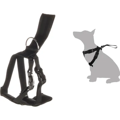 Flamingo - Harnais Voiture Taille M Réglable pour Chien