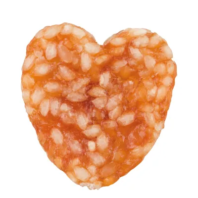 Trixie - Calendrier de l'avent PREMIO pour chien