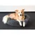 Coussin KREMS rond ø 70 cm gris anti stress pour chiens Coussin KREMS rond ø 70 cm gris anti stress pour chiens