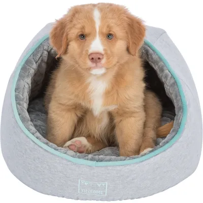 animallparadise - Igloo pour petits chiots, diamètre 37x27cm. animallparadise - Igloo pour petits chiots, diamètre 37x27cm.