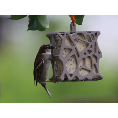 Mangeoire Anna recyclé 13 x 15 cm,  support à bloc de graisse pour oiseaux