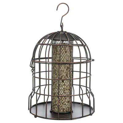 animallparadise - Distributeur d'arachides avec protection anti nuisible, p